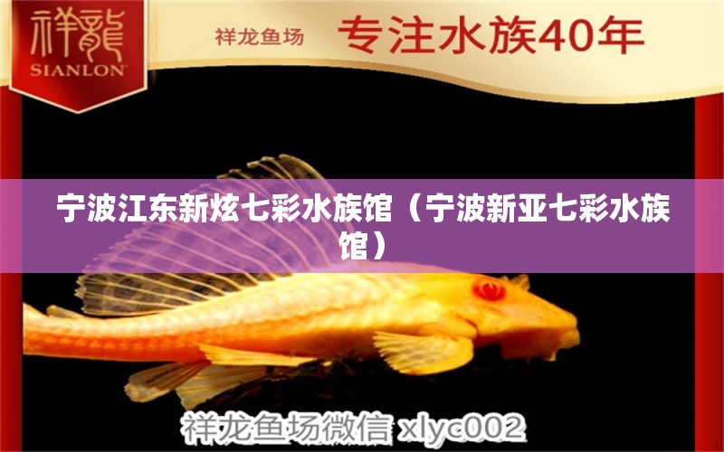 寧波江東新炫七彩水族館（寧波新亞七彩水族館） 全國水族館企業(yè)名錄