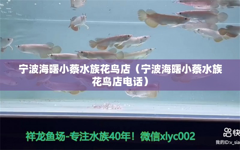 寧波海曙小蔡水族花鳥店（寧波海曙小蔡水族花鳥店電話）