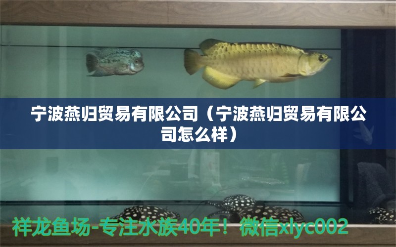 寧波燕歸貿(mào)易有限公司（寧波燕歸貿(mào)易有限公司怎么樣）