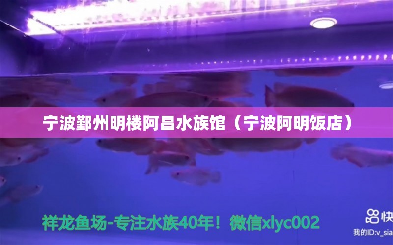 寧波鄞州明樓阿昌水族館（寧波阿明飯店） 全國(guó)水族館企業(yè)名錄