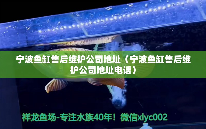 寧波魚缸售后維護(hù)公司地址（寧波魚缸售后維護(hù)公司地址電話）