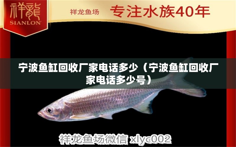 寧波魚缸回收廠家電話多少（寧波魚缸回收廠家電話多少號）