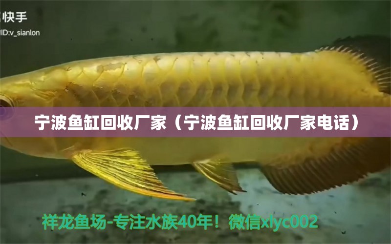 寧波魚缸回收廠家（寧波魚缸回收廠家電話）