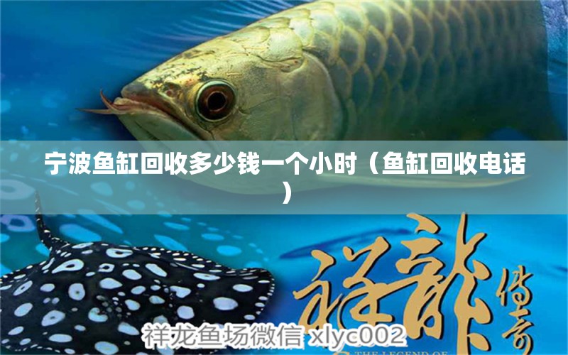 寧波魚(yú)缸回收多少錢一個(gè)小時(shí)（魚(yú)缸回收電話） 烏龜