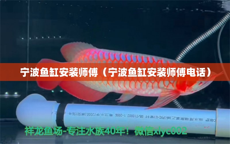 寧波魚缸安裝師傅（寧波魚缸安裝師傅電話）