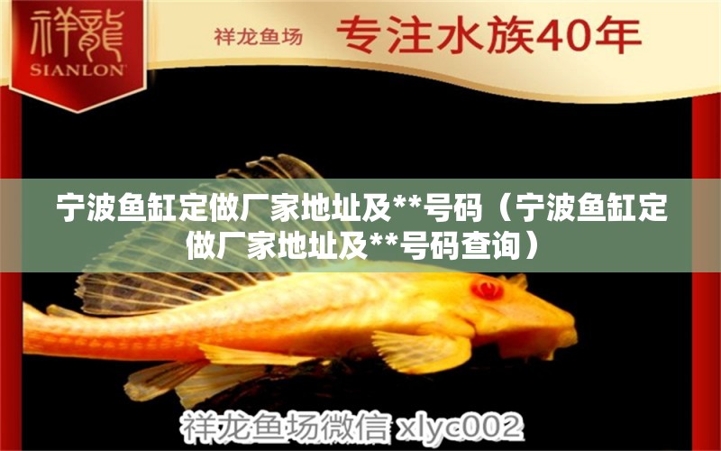 寧波魚缸定做廠家地址及**號碼（寧波魚缸定做廠家地址及**號碼查詢）