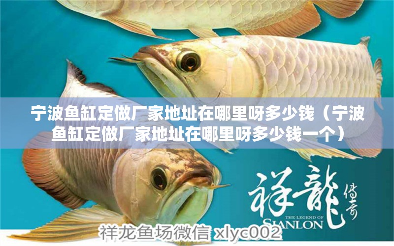 寧波魚缸定做廠家地址在哪里呀多少錢（寧波魚缸定做廠家地址在哪里呀多少錢一個）