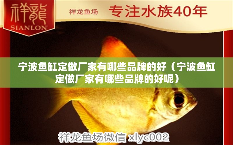 寧波魚缸定做廠家有哪些品牌的好（寧波魚缸定做廠家有哪些品牌的好呢）