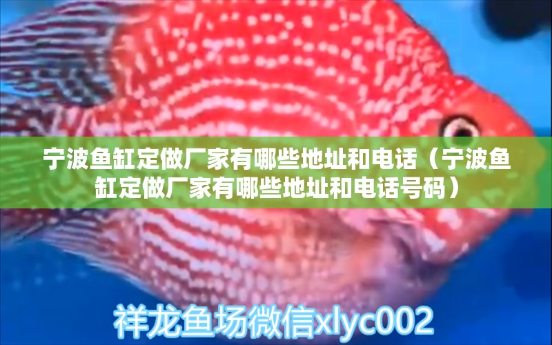 寧波魚缸定做廠家有哪些地址和電話（寧波魚缸定做廠家有哪些地址和電話號碼）