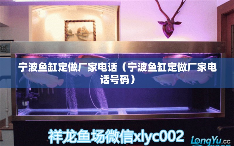 寧波魚缸定做廠家電話（寧波魚缸定做廠家電話號碼） 其他品牌魚缸