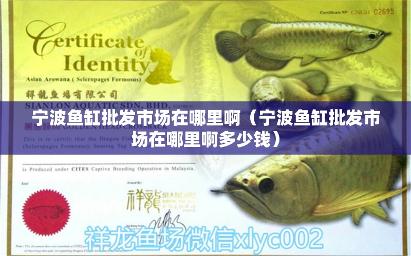 寧波魚缸批發(fā)市場在哪里啊（寧波魚缸批發(fā)市場在哪里啊多少錢） 其他品牌魚缸