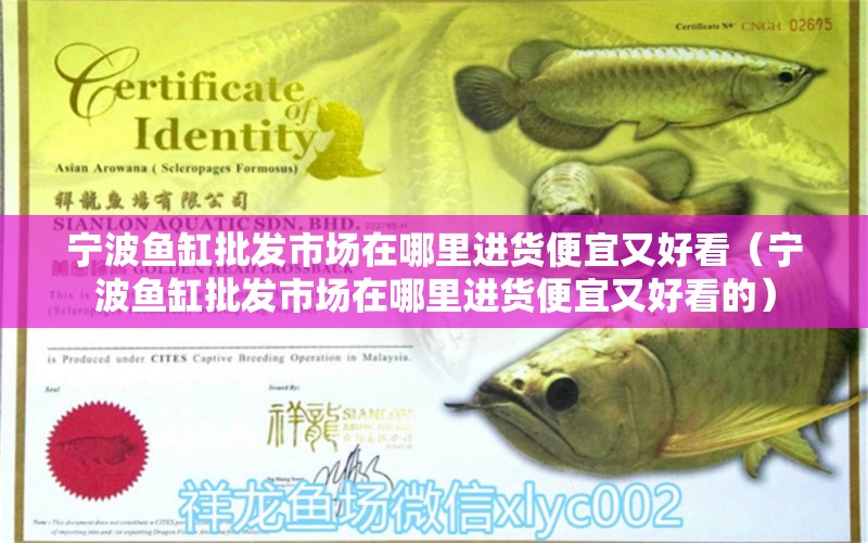 寧波魚缸批發(fā)市場在哪里進(jìn)貨便宜又好看（寧波魚缸批發(fā)市場在哪里進(jìn)貨便宜又好看的）