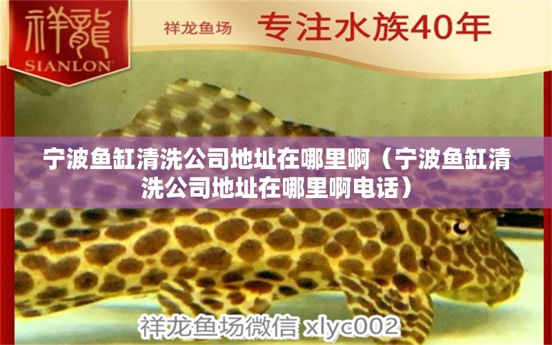 寧波魚(yú)缸清洗公司地址在哪里啊（寧波魚(yú)缸清洗公司地址在哪里啊電話(huà)）