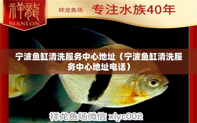 寧波魚缸清洗服務(wù)中心地址（寧波魚缸清洗服務(wù)中心地址電話） 稀有金龍魚