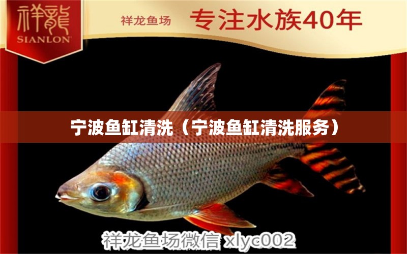 寧波魚缸清洗（寧波魚缸清洗服務） 其他品牌魚缸