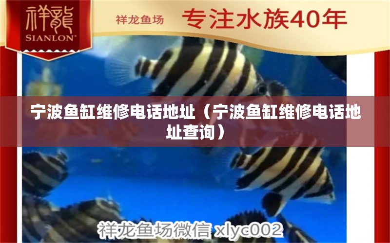 寧波魚(yú)缸維修電話地址（寧波魚(yú)缸維修電話地址查詢） 其他品牌魚(yú)缸