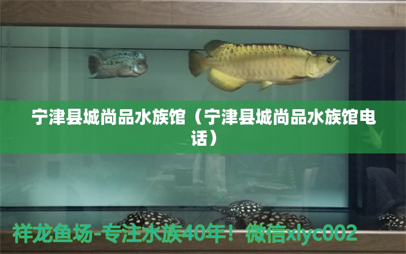 寧津縣城尚品水族館（寧津縣城尚品水族館電話）