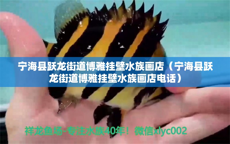 寧?？h躍龍街道博雅掛壁水族畫店（寧海縣躍龍街道博雅掛壁水族畫店電話）