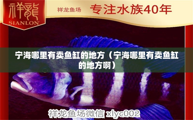 寧海哪里有賣(mài)魚(yú)缸的地方（寧海哪里有賣(mài)魚(yú)缸的地方?。? title=