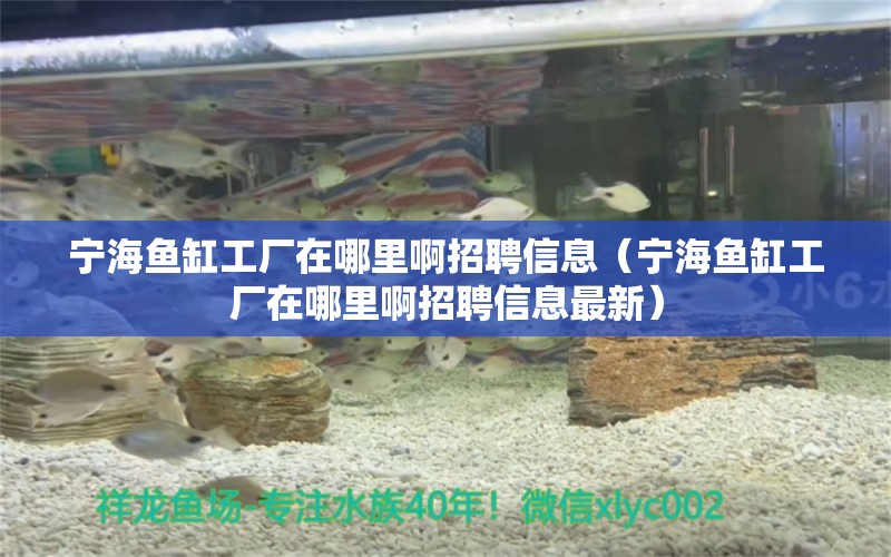 寧海魚(yú)缸工廠在哪里啊招聘信息（寧海魚(yú)缸工廠在哪里啊招聘信息最新）