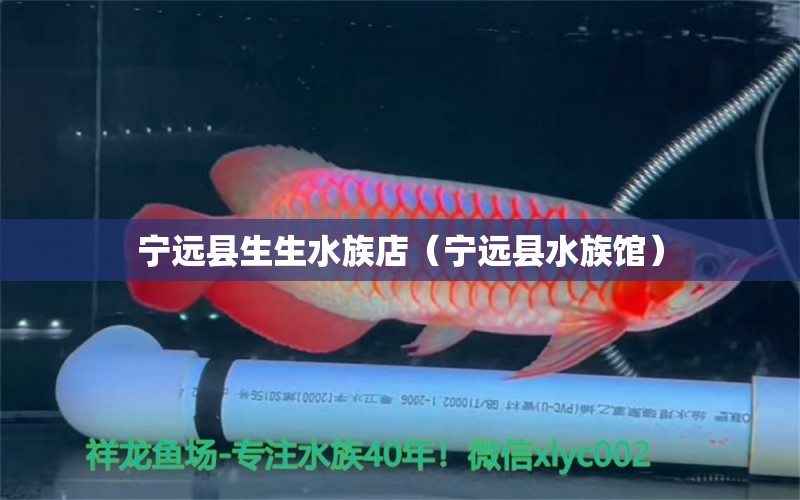 寧遠(yuǎn)縣生生水族店（寧遠(yuǎn)縣水族館） 全國(guó)水族館企業(yè)名錄