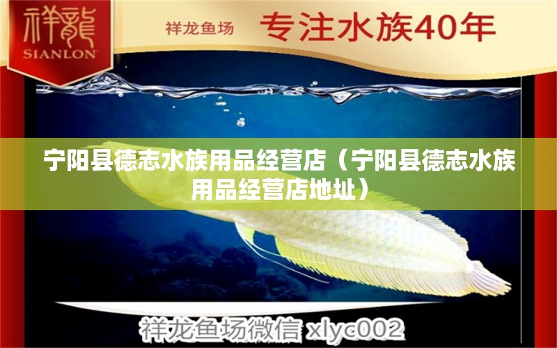 寧陽縣德志水族用品經(jīng)營店（寧陽縣德志水族用品經(jīng)營店地址） 水族用品