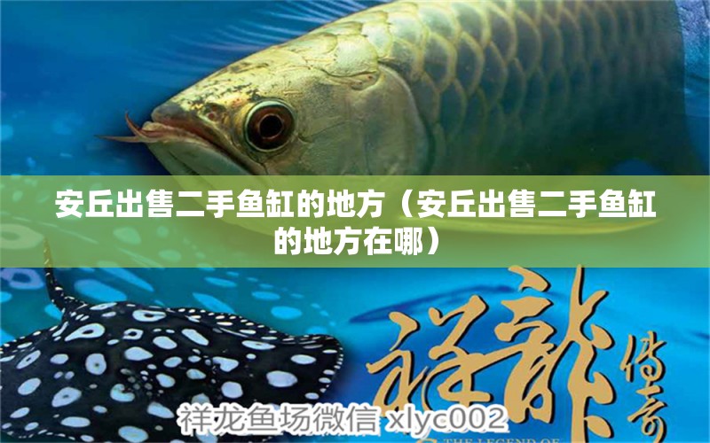 安丘出售二手魚缸的地方（安丘出售二手魚缸的地方在哪）