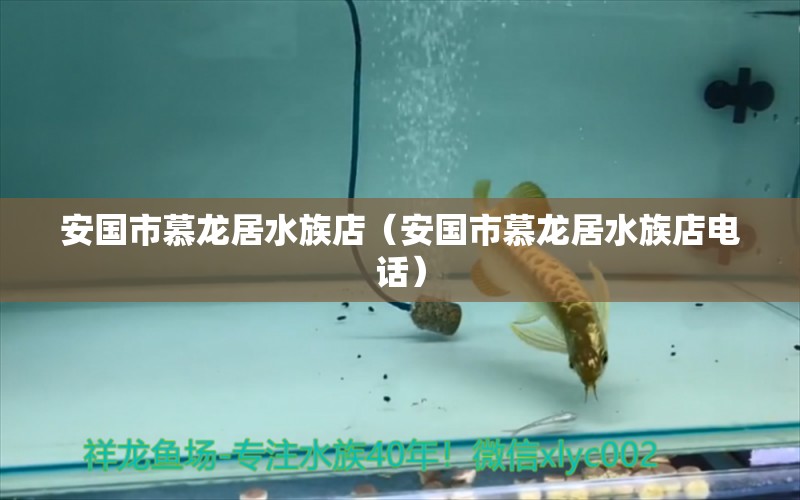 安國市慕龍居水族店（安國市慕龍居水族店電話）