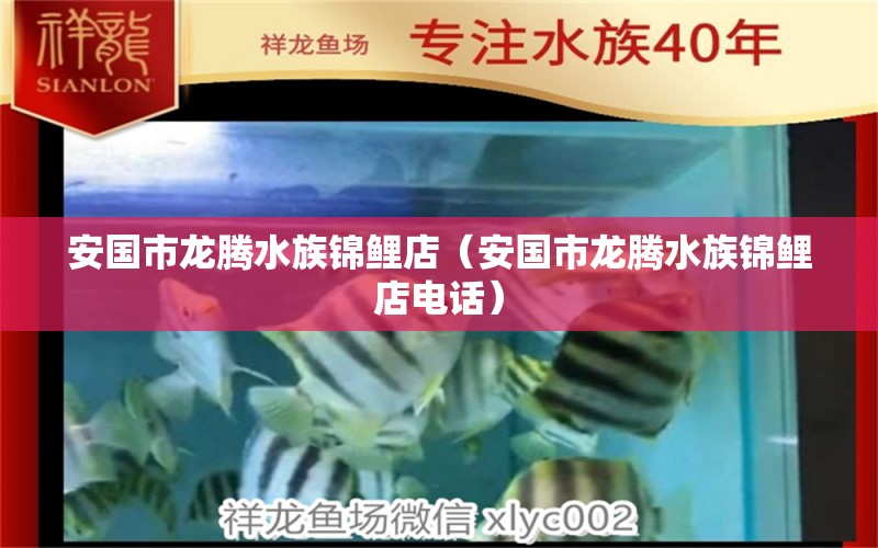 安國市龍騰水族錦鯉店（安國市龍騰水族錦鯉店電話） 全國水族館企業(yè)名錄