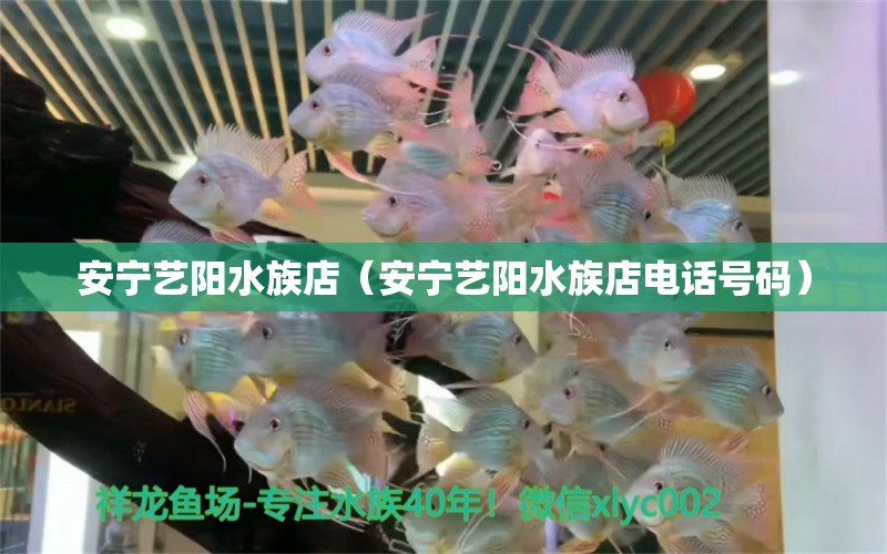 安寧藝陽水族店（安寧藝陽水族店電話號碼） 全國水族館企業(yè)名錄