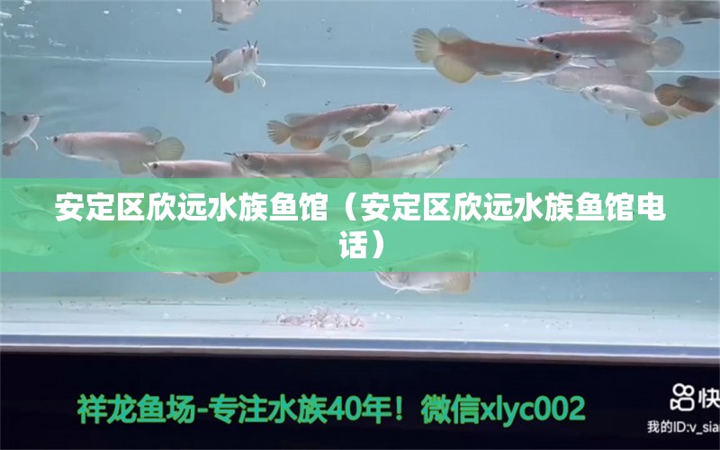 安定區(qū)欣遠(yuǎn)水族魚館（安定區(qū)欣遠(yuǎn)水族魚館電話）