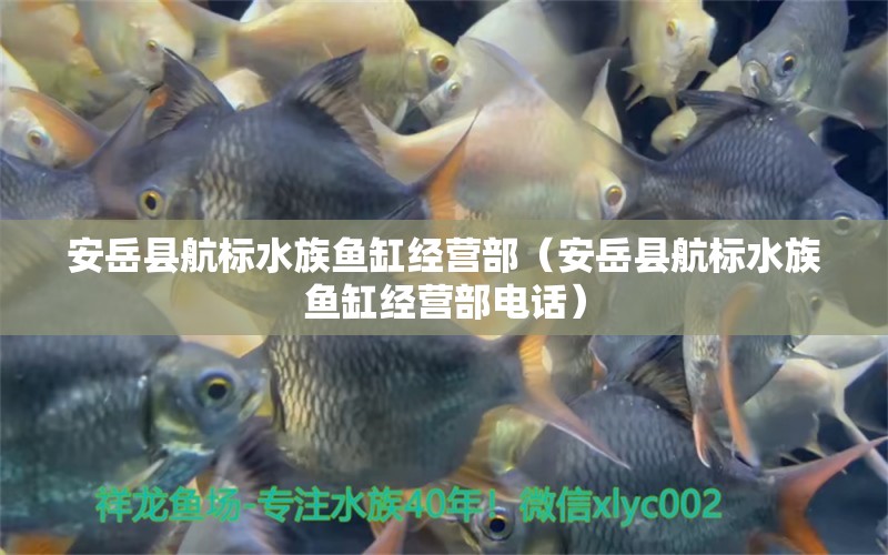 安岳縣航標(biāo)水族魚缸經(jīng)營(yíng)部（安岳縣航標(biāo)水族魚缸經(jīng)營(yíng)部電話）