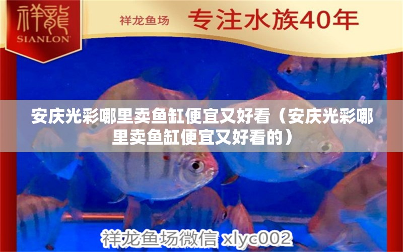 安慶光彩哪里賣魚缸便宜又好看（安慶光彩哪里賣魚缸便宜又好看的）