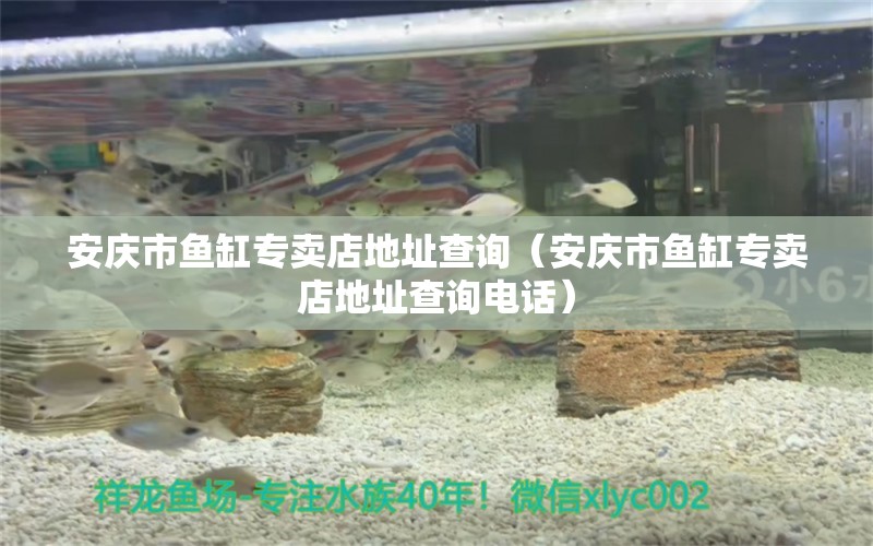 安慶市魚缸專賣店地址查詢（安慶市魚缸專賣店地址查詢電話） 其他品牌魚缸