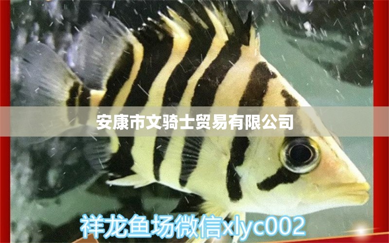 安康市文騎士貿易有限公司 全國水族館企業(yè)名錄