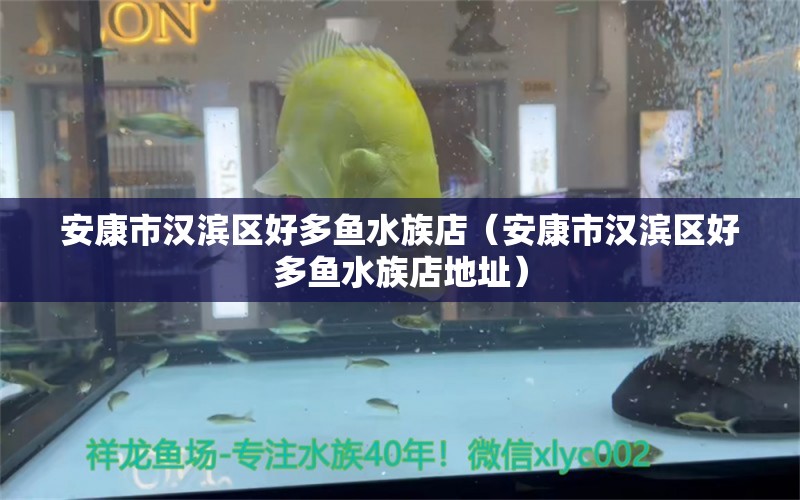 安康市漢濱區(qū)好多魚水族店（安康市漢濱區(qū)好多魚水族店地址） 全國水族館企業(yè)名錄