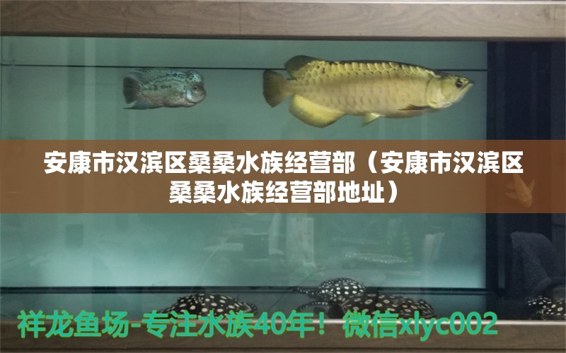 安康市漢濱區(qū)桑桑水族經(jīng)營部（安康市漢濱區(qū)桑桑水族經(jīng)營部地址）