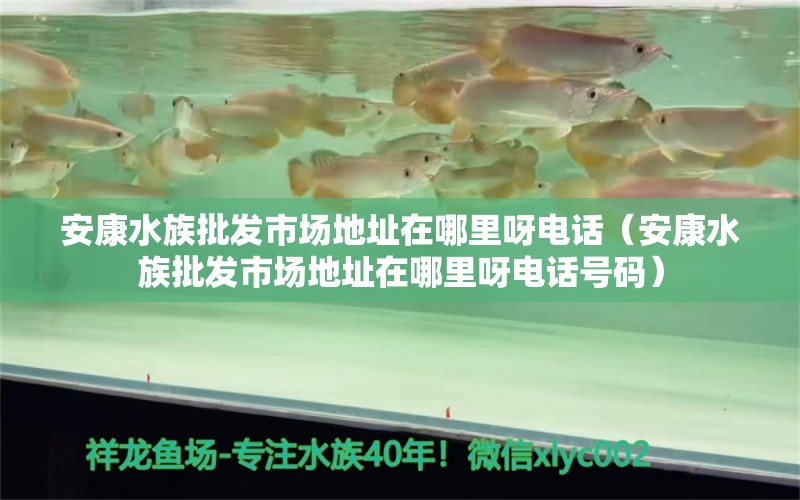 安康水族批發(fā)市場(chǎng)地址在哪里呀電話（安康水族批發(fā)市場(chǎng)地址在哪里呀電話號(hào)碼） 觀賞魚水族批發(fā)市場(chǎng)