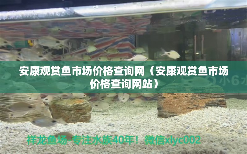 安康觀賞魚(yú)市場(chǎng)價(jià)格查詢網(wǎng)（安康觀賞魚(yú)市場(chǎng)價(jià)格查詢網(wǎng)站）