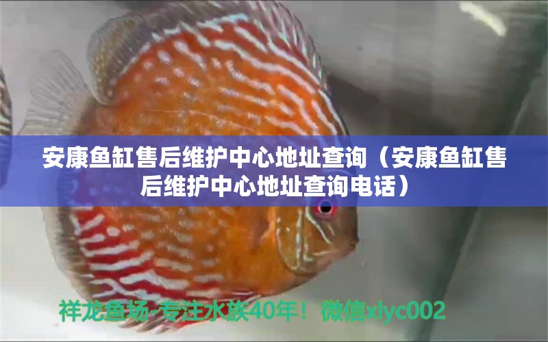 安康魚缸售后維護中心地址查詢（安康魚缸售后維護中心地址查詢電話）