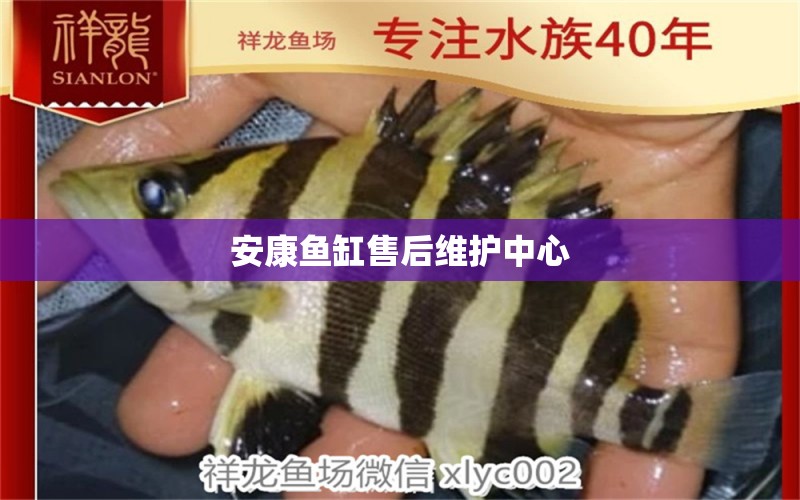 安康魚缸售后維護中心