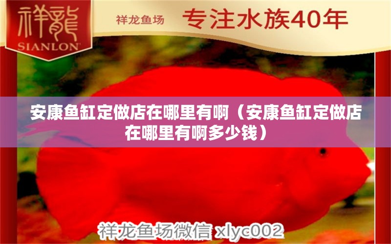 安康魚缸定做店在哪里有?。ò部掉~缸定做店在哪里有啊多少錢） 量子養(yǎng)魚技術(shù)