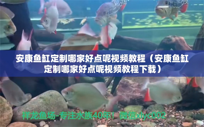 安康魚缸定制哪家好點(diǎn)呢視頻教程（安康魚缸定制哪家好點(diǎn)呢視頻教程下載）