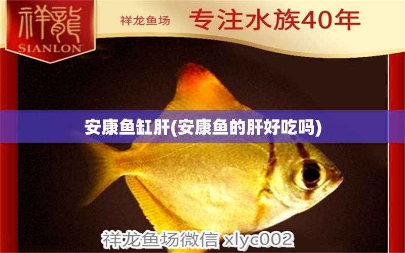 安康魚缸肝(安康魚的肝好吃嗎) 狗頭魚