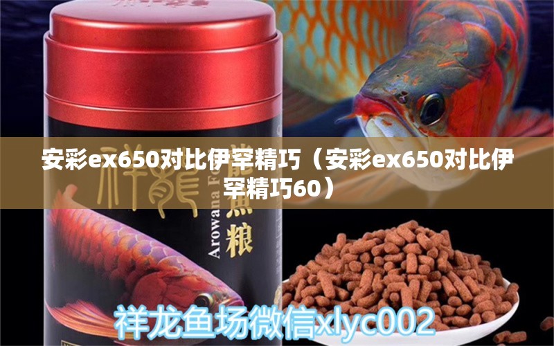 安彩ex650對比伊罕精巧（安彩ex650對比伊罕精巧60）