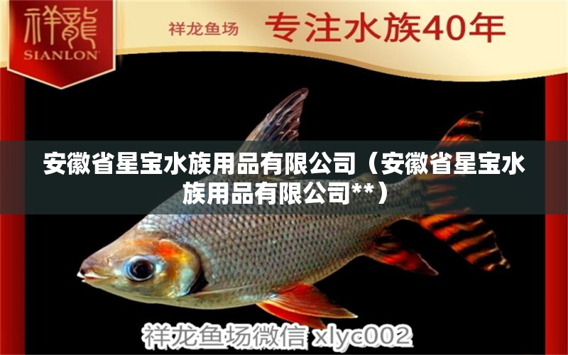 安徽省星寶水族用品有限公司（安徽省星寶水族用品有限公司**） 水族用品