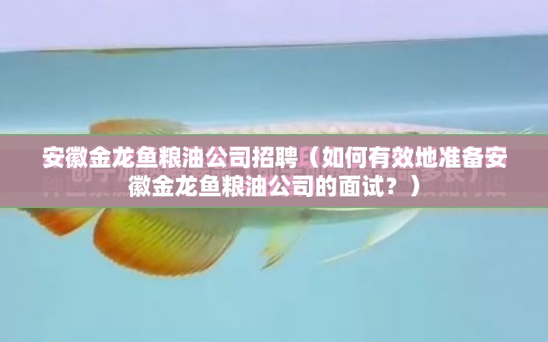 安徽金龍魚糧油公司招聘（如何有效地準(zhǔn)備安徽金龍魚糧油公司的面試？） 水族問答 第1張