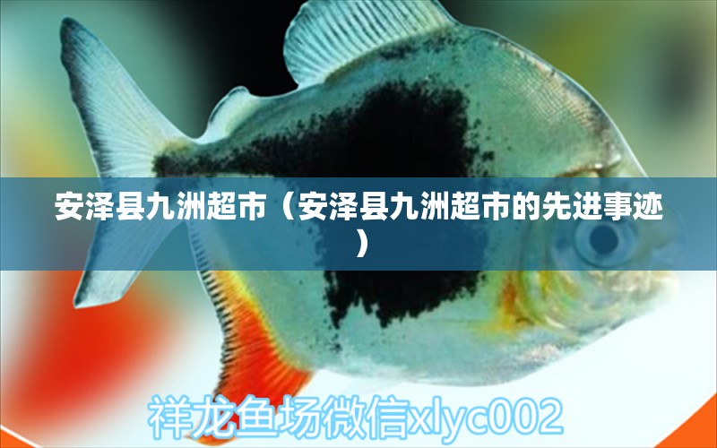 安澤縣九洲超市（安澤縣九洲超市的先進事跡） 全國水族館企業(yè)名錄