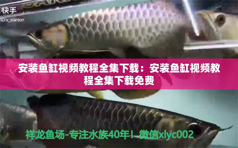 安裝魚缸視頻教程全集下載：安裝魚缸視頻教程全集下載免費(fèi) 觀賞魚市場(chǎng)（混養(yǎng)魚）