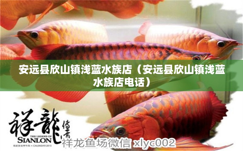 安遠(yuǎn)縣欣山鎮(zhèn)淺藍(lán)水族店（安遠(yuǎn)縣欣山鎮(zhèn)淺藍(lán)水族店電話） 全國(guó)水族館企業(yè)名錄